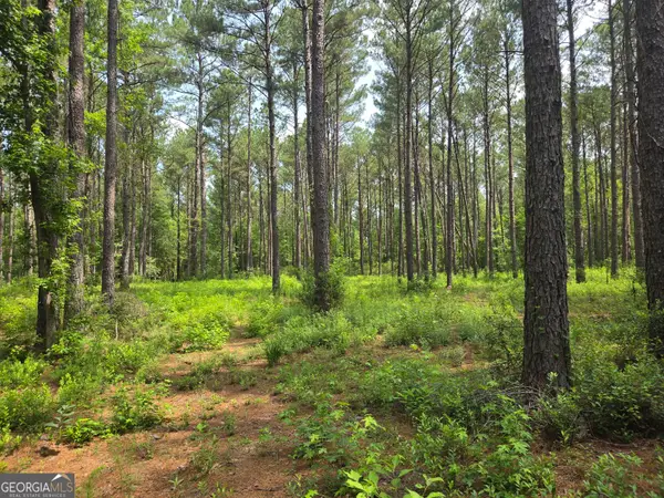 0 Colby Drive, Dublin, GA 31021