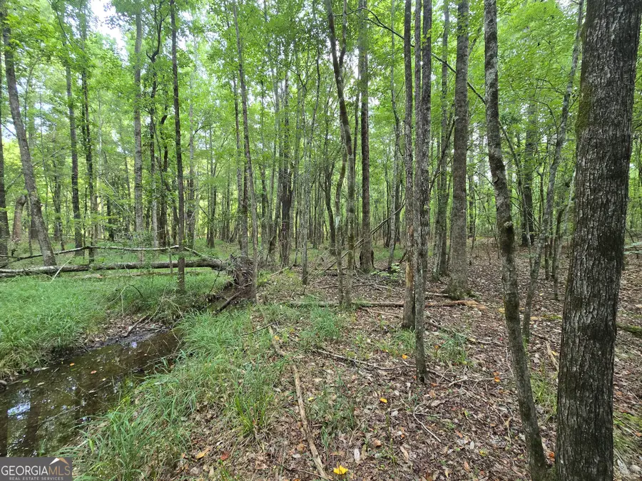0 Colby Drive, Dublin, GA 31021 - #3