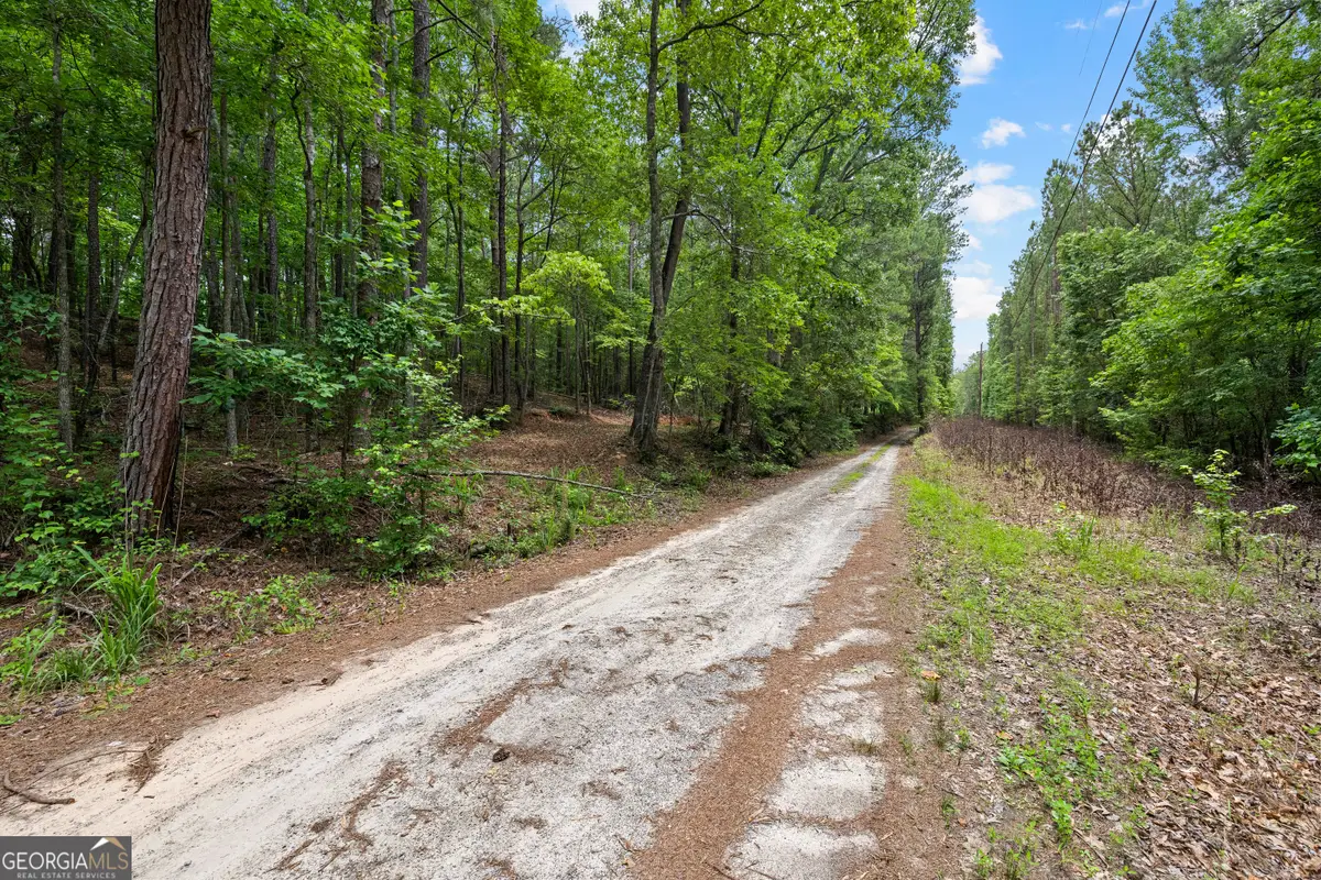 0 Terry Road, Fairburn, GA 30213 - #1