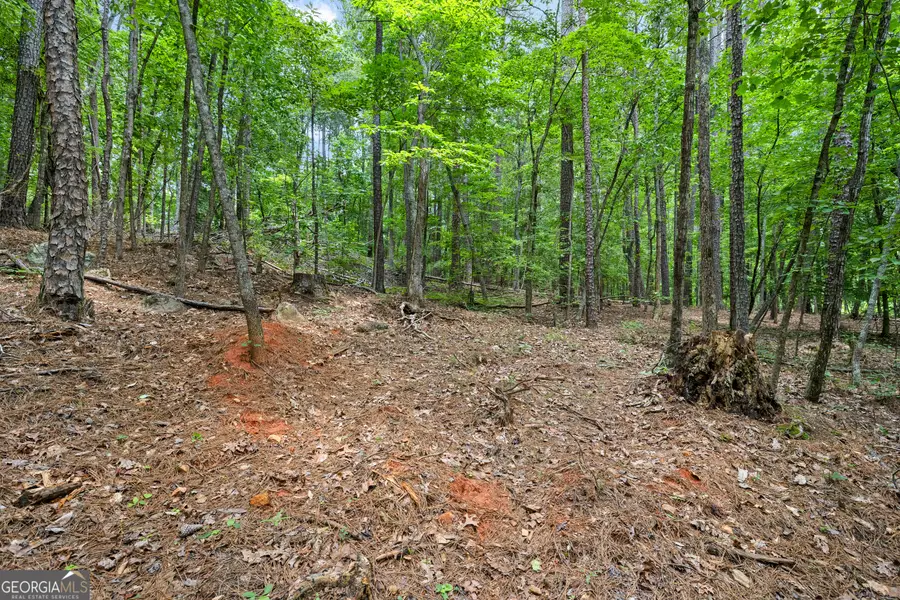 0 Terry Road, Fairburn, GA 30213 - #3