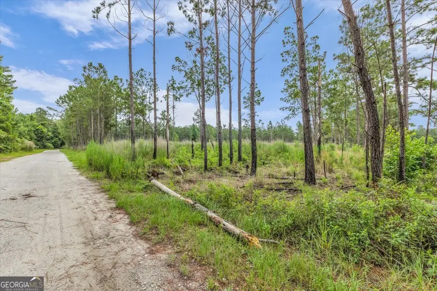 0 Wood Grove Lane, Richmond Hill, GA 31324 - #3