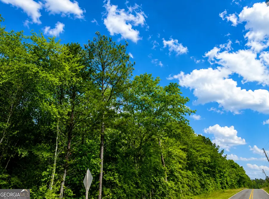 1.77 ACRES Olive Grove Church Road, Roberta, GA 31078 - #2