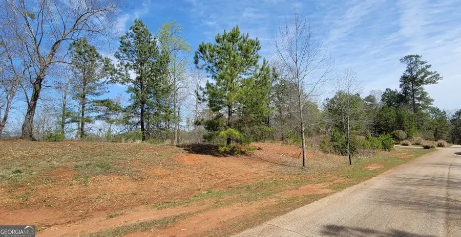 334 Edgewater Trail S, Toccoa, GA 30577 - #3