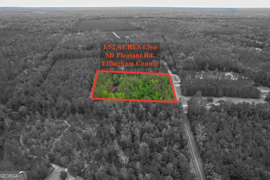 1.5 ACRES Mt Pleasant Road, Clyo, GA 31303 - #3