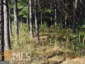 84 Firefly Run, Lagrange, GA 30240 - #1