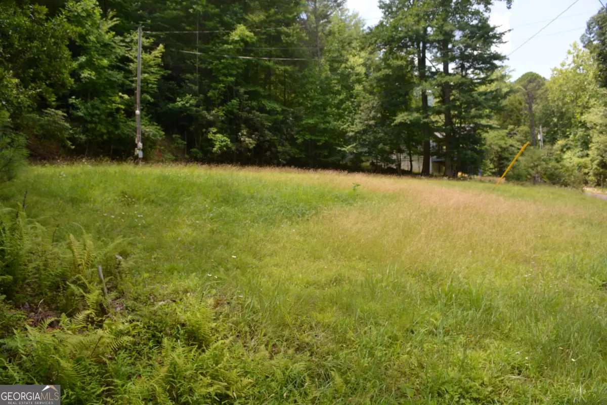 1032 Ruby Lake Dr., Hiawassee, GA 30546 - #1