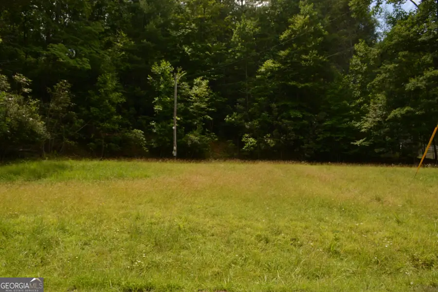 1032 Ruby Lake Dr., Hiawassee, GA 30546 - #2