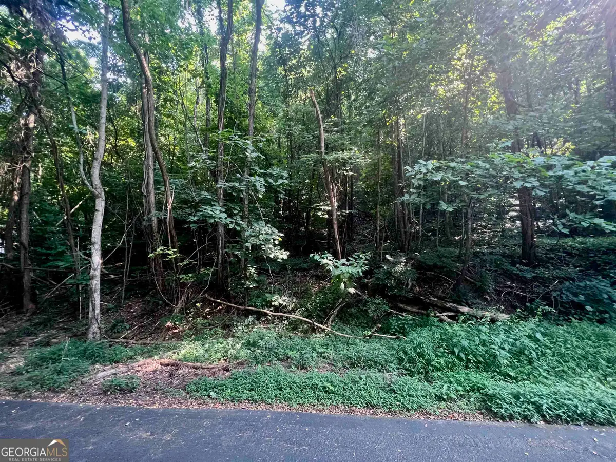 LOT 13 Chalet Drive, Sautee Nacoochee, GA 30571 - #1