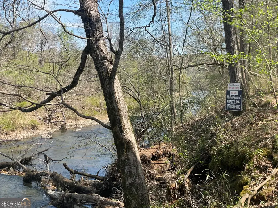 0 Hwy 36 #LOT 6A, Woodland, GA 31836 - #3