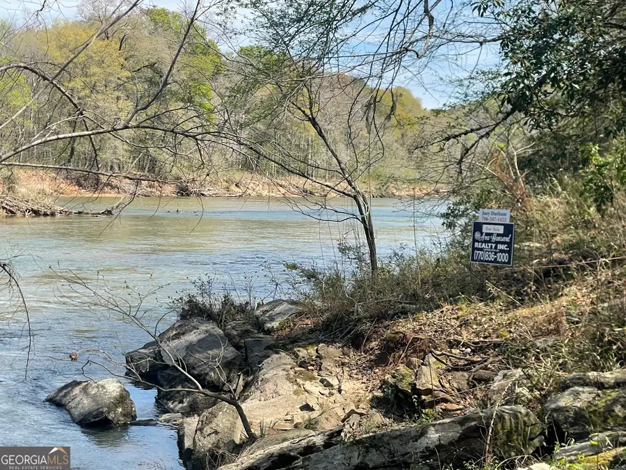 0 Hwy 36 #LOT 6B, Woodland, GA 31836 - #2