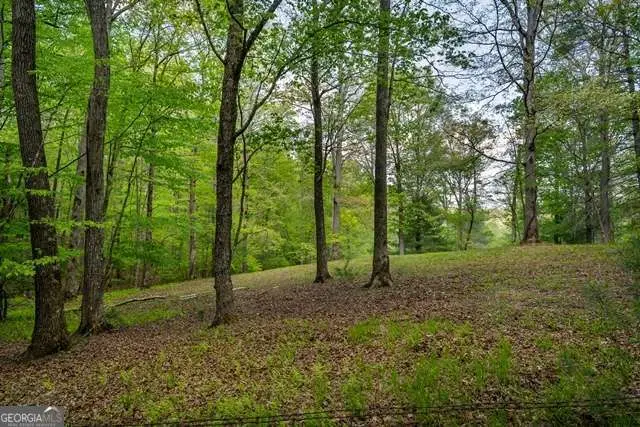 LOT 3-4 Scouts Overlook Lane, Morganton, GA 30560 - #1