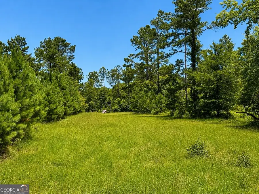 0 Stonewall, Macon, GA 31211 - #2