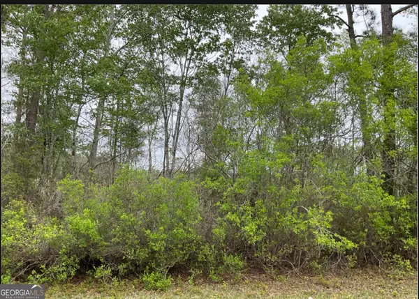 0 1601ac #TRACT 4, Townsend, GA 31331