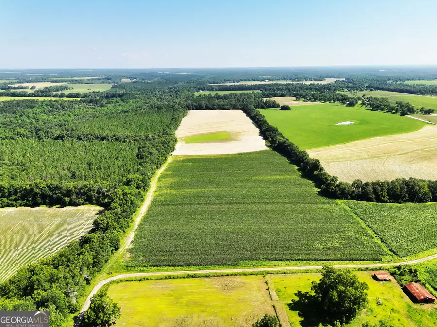0 Tired Creek Rd, Whigham, GA 39897 - #2
