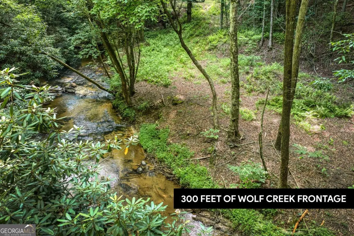 0 Mill Race Drive, Mineral Bluff, GA 30559 - #1