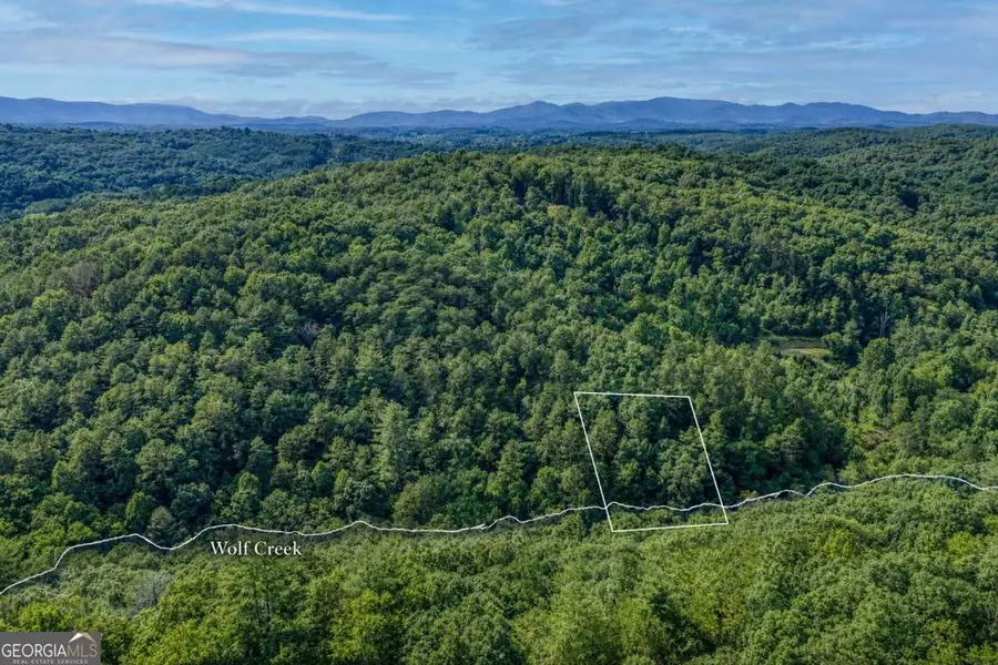 0 Mill Race Drive, Mineral Bluff, GA 30559 - #2