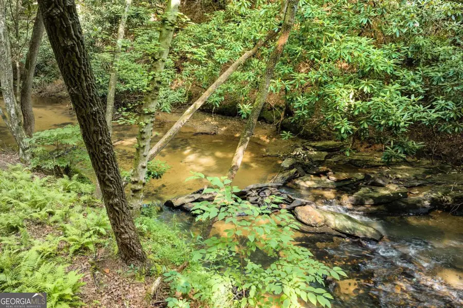 0 Mill Race Drive, Mineral Bluff, GA 30559 - #3
