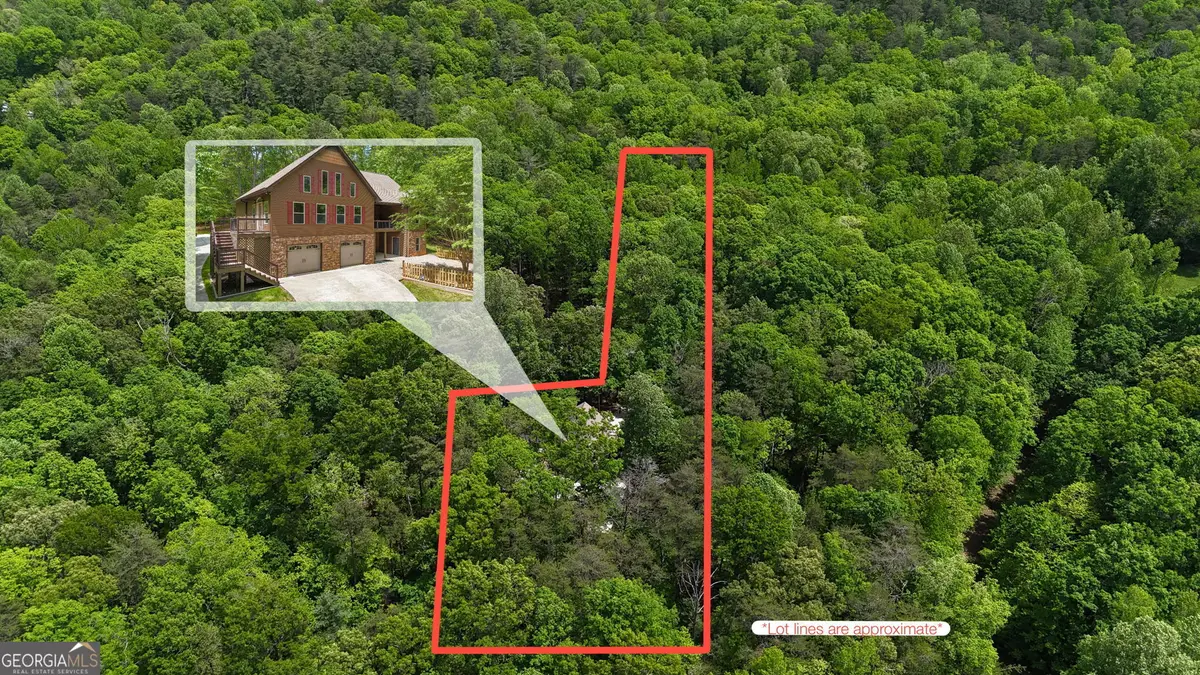 1615 Ben T Huiet Hwy. Sr-255 Alt., Clarkesville, GA 30523 - #1