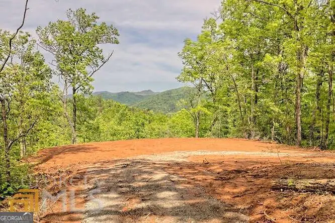 0 Wynngate Drive #21, Dillard, GA 30537 - #1