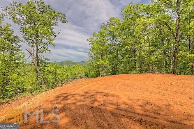 0 Wynngate Drive #21, Dillard, GA 30537 - #3