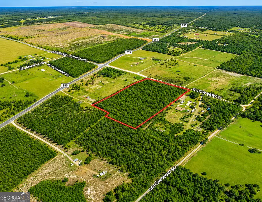 10.73 ACRES Se Pow Wow Street, Lee, FL 32059 - #2