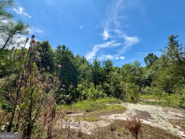 14.21 ACRES NW Irwin Bridge Road, Conyers, GA 30012