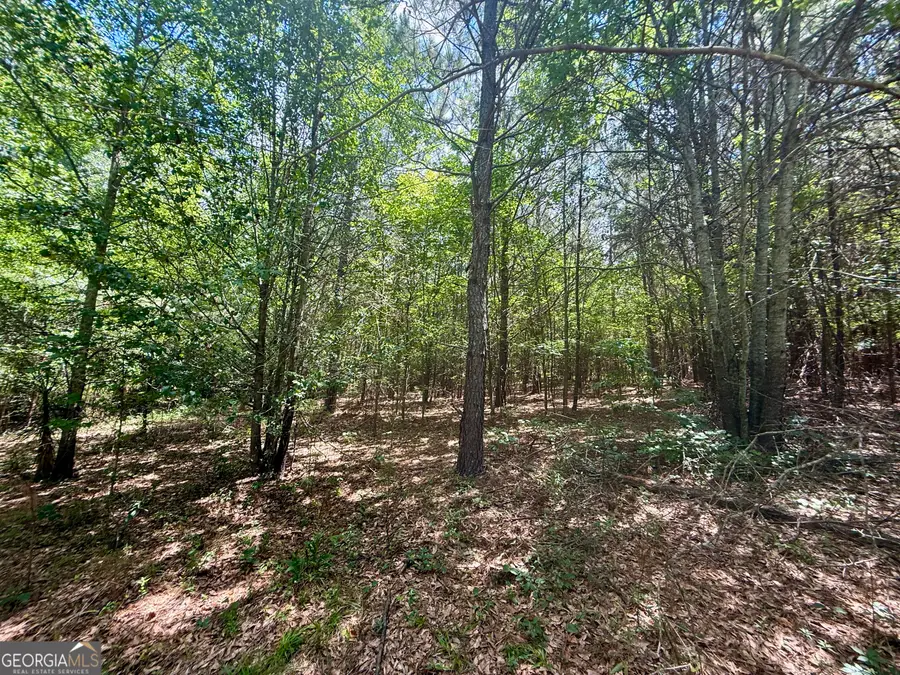 14.21 ACRES NW Irwin Bridge Road, Conyers, GA 30012 - #2