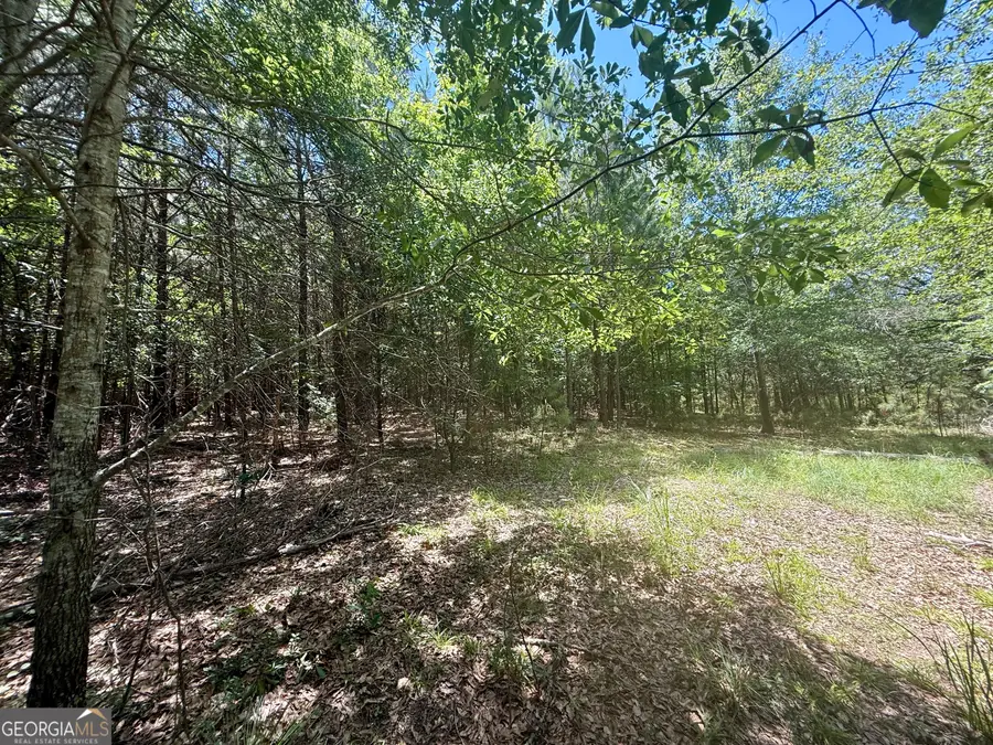 14.21 ACRES NW Irwin Bridge Road, Conyers, GA 30012 - #3