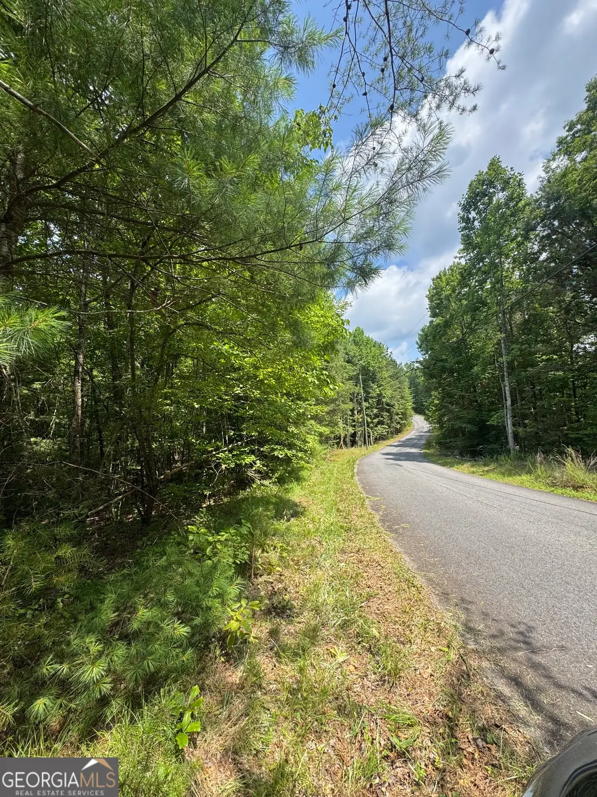 TR 3,4 Lakeland Drive, Ellijay, GA 30540 - #1