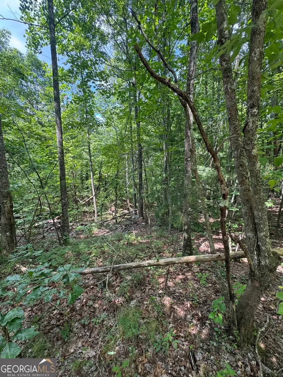 TR 3,4 Lakeland Drive, Ellijay, GA 30540 - #2