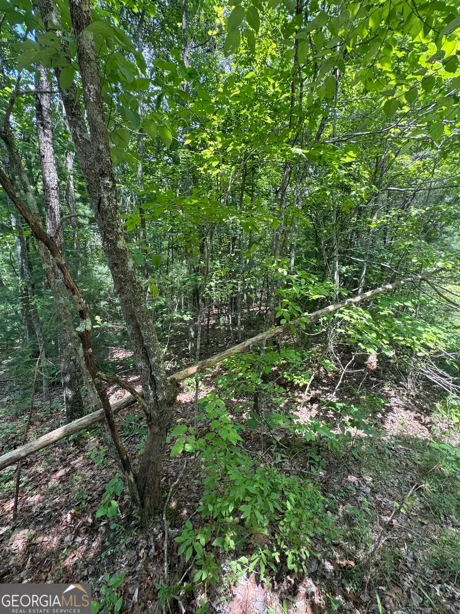 TR 3,4 Lakeland Drive, Ellijay, GA 30540 - #3