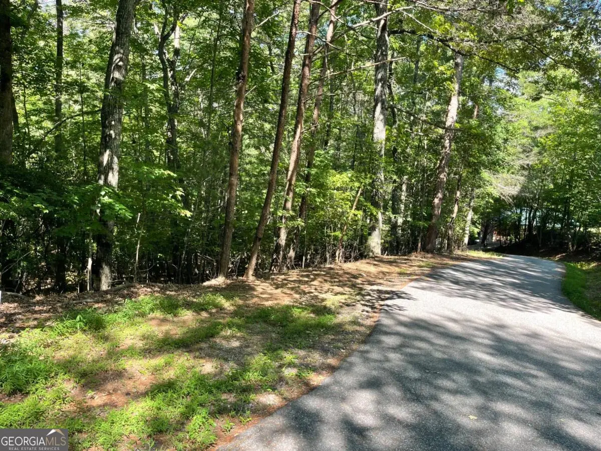 0 Rizzitello Lane #5, Blairsville, GA 30512 - #1