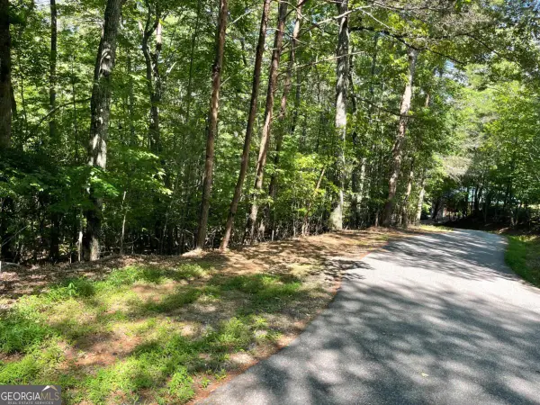 0 Rizzitello Lane #5, Blairsville, GA 30512