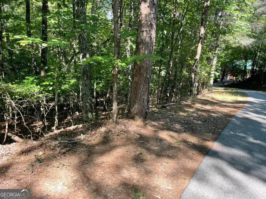 0 Rizzitello Lane #5, Blairsville, GA 30512 - #2
