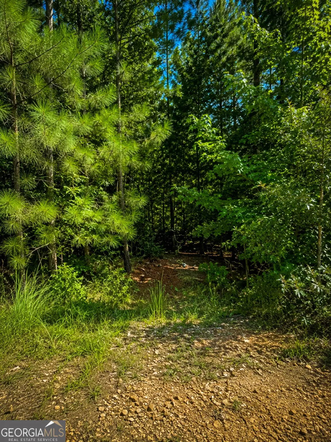 191 Shana Drive Sw, Milledgeville, GA 31061 - #1