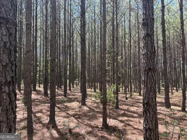 0 Wriley Road, McIntyre, GA 31054