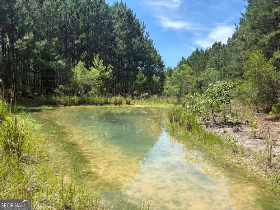 0 Wriley Road, McIntyre, GA 31054 - #3