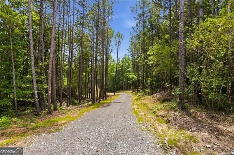 LOT 1 Pete Path, Dallas, GA 30157 - #1