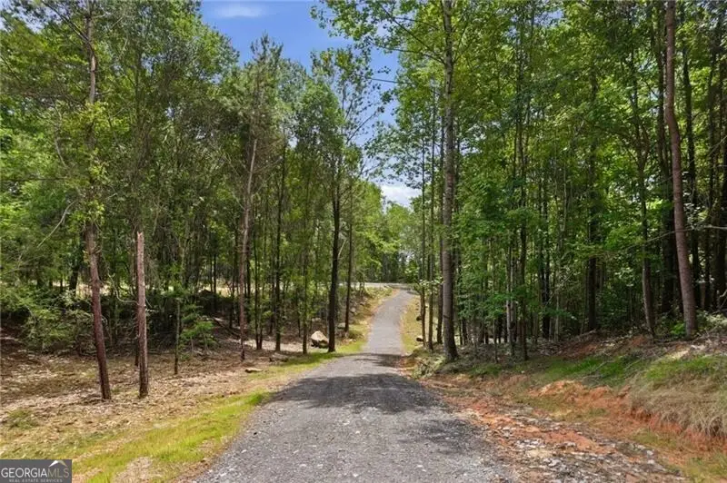 LOT 1 Pete Path, Dallas, GA 30157 - #2