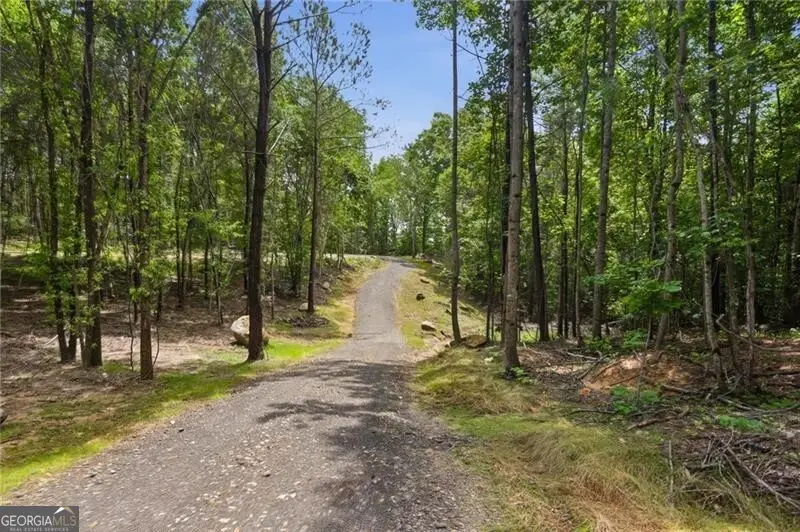 LOT 1 Pete Path, Dallas, GA 30157 - #3