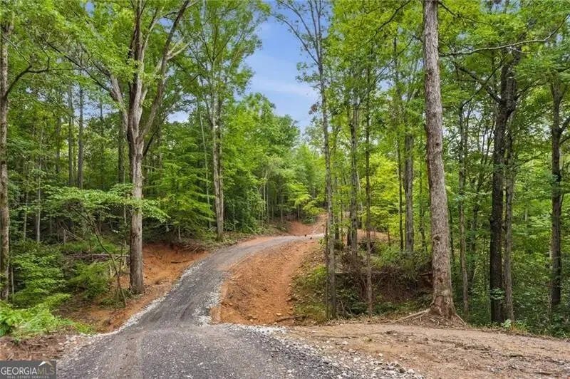 LOT 2 Pete Path, Dallas, GA 30157 - #1