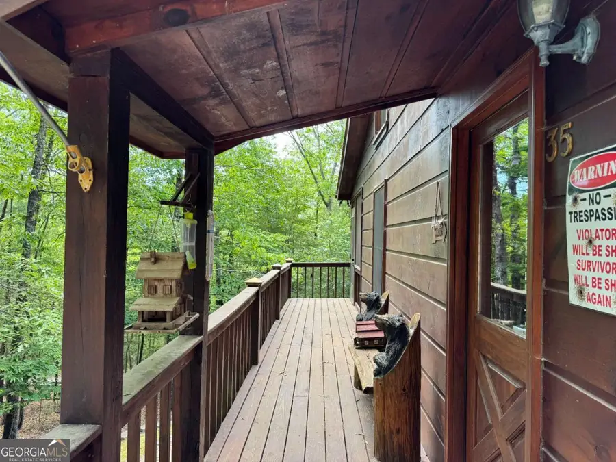 35 Big Buck Circle, Blue Ridge, GA 30513 - #3