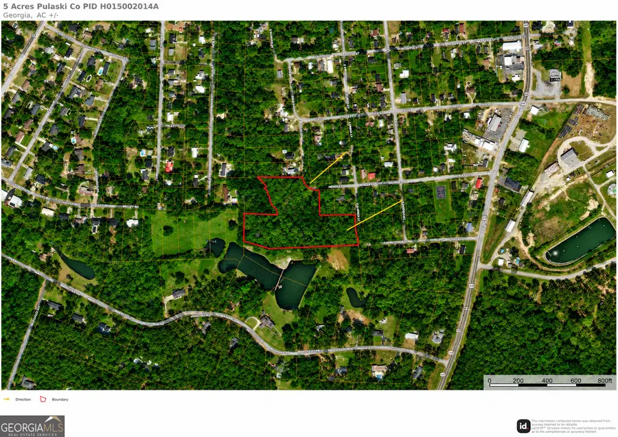 5 ACRES Grace Street, Hawkinsville, GA 31036 - #3