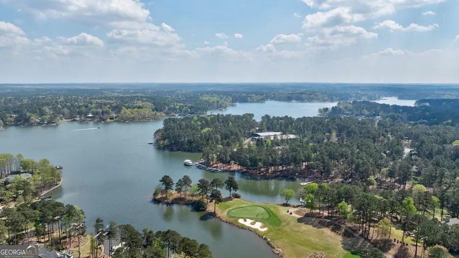 1010 Amasa Lane, Greensboro, GA 30642 - #3