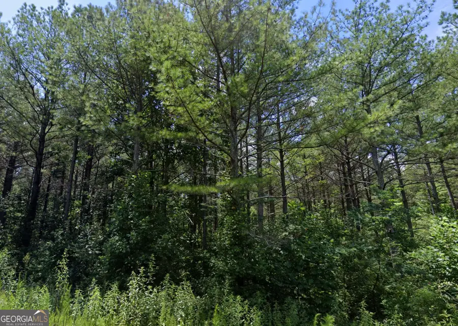 0 Eastside Drive, Ellijay, GA 30536 - #2