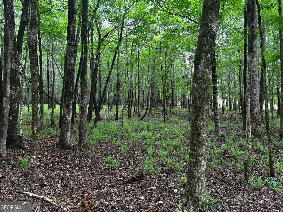 213 Winding River Road, Eatonton, GA 31024 - #2