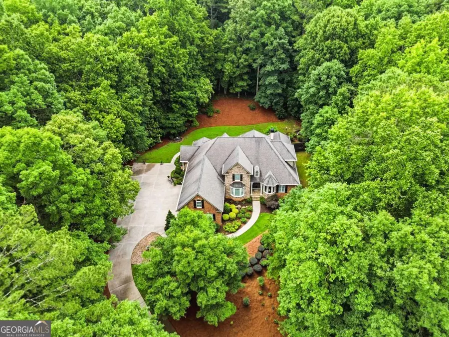 201 Wellington Falls Way, Canton, GA 30114 - #3