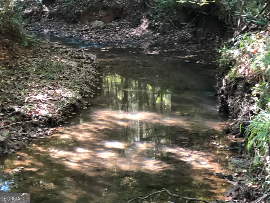 LOT 10 Triune Mill Road, Thomaston, GA 30286 - #3