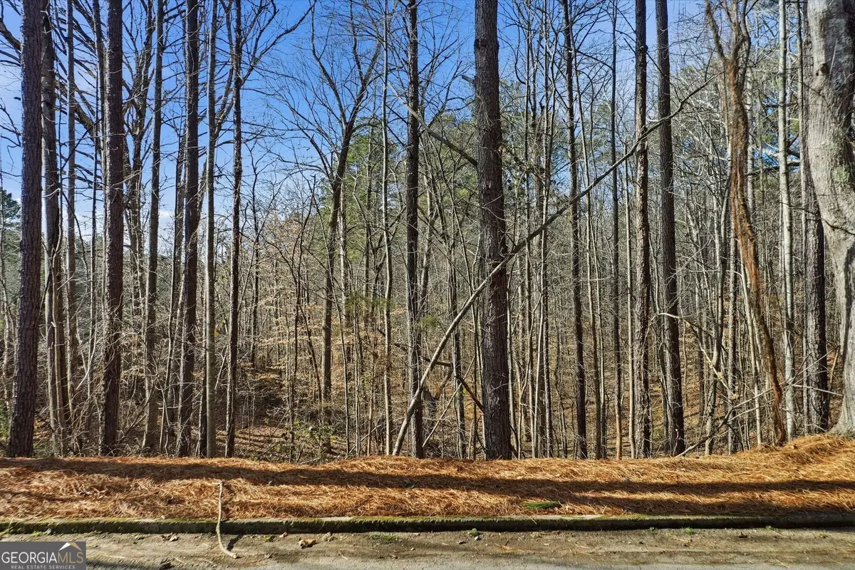 000 Sixes Road, Canton, GA 30114 - #1