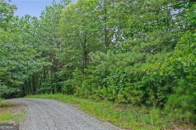 LOT39 Lakeside Trail, Ellijay, GA 30540 - #3
